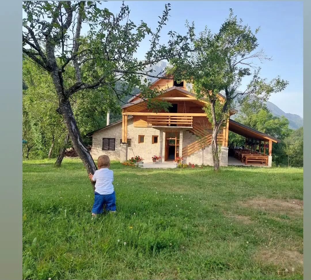 Šuma