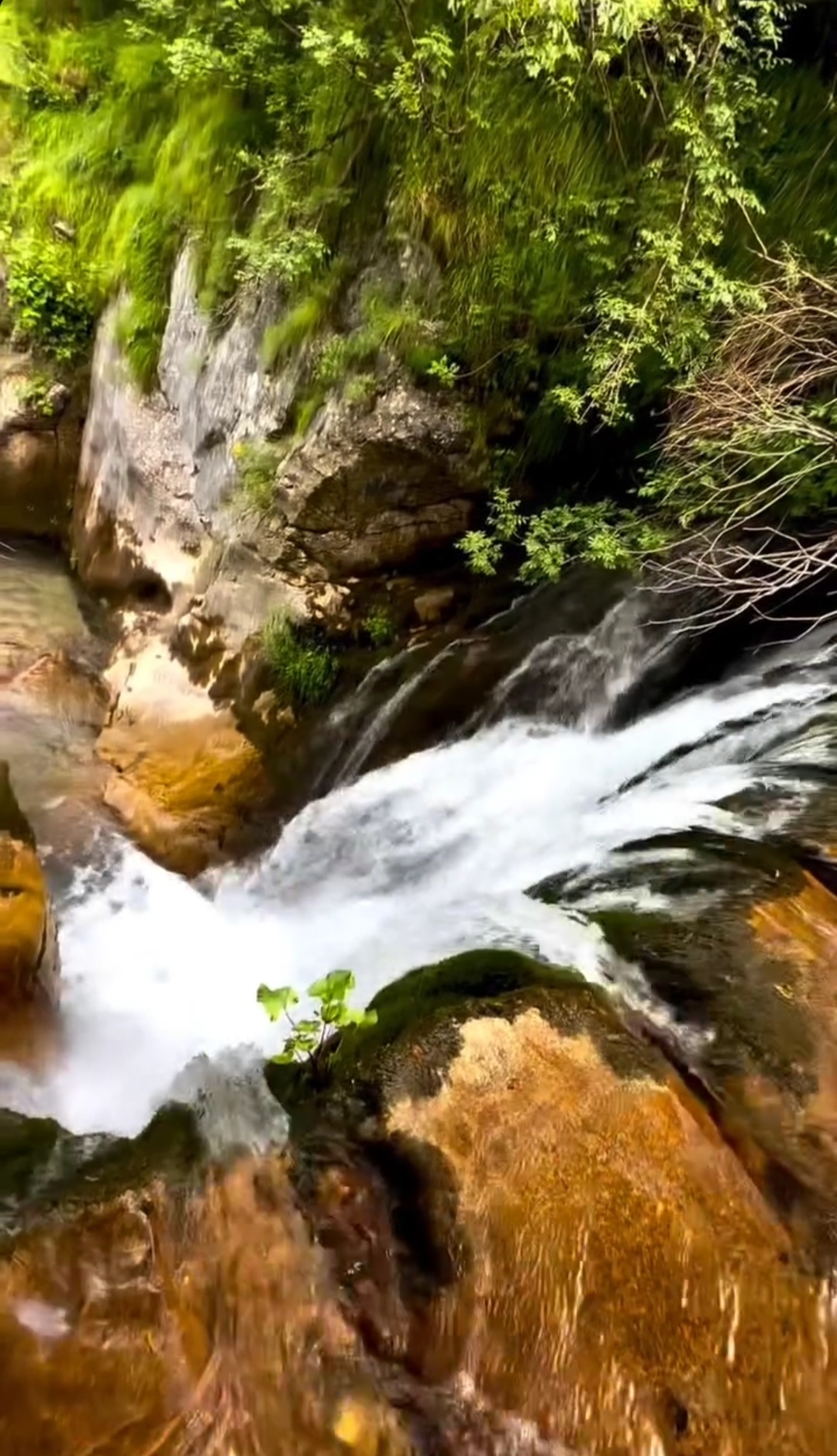 Pivsko jezero